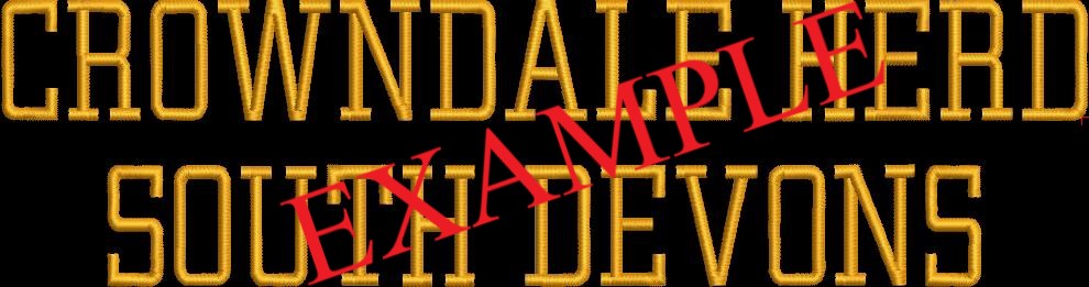 South Devons Sweatshirt