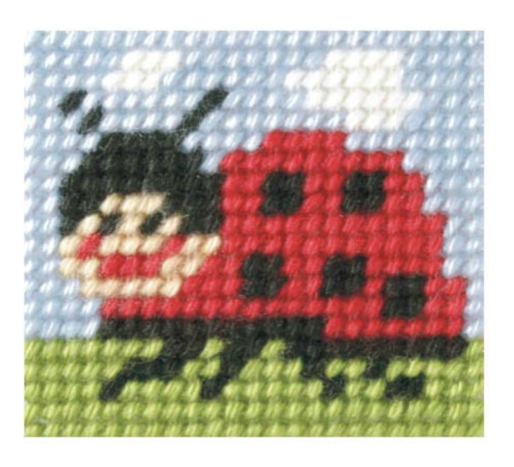 My First Embroidery Kit