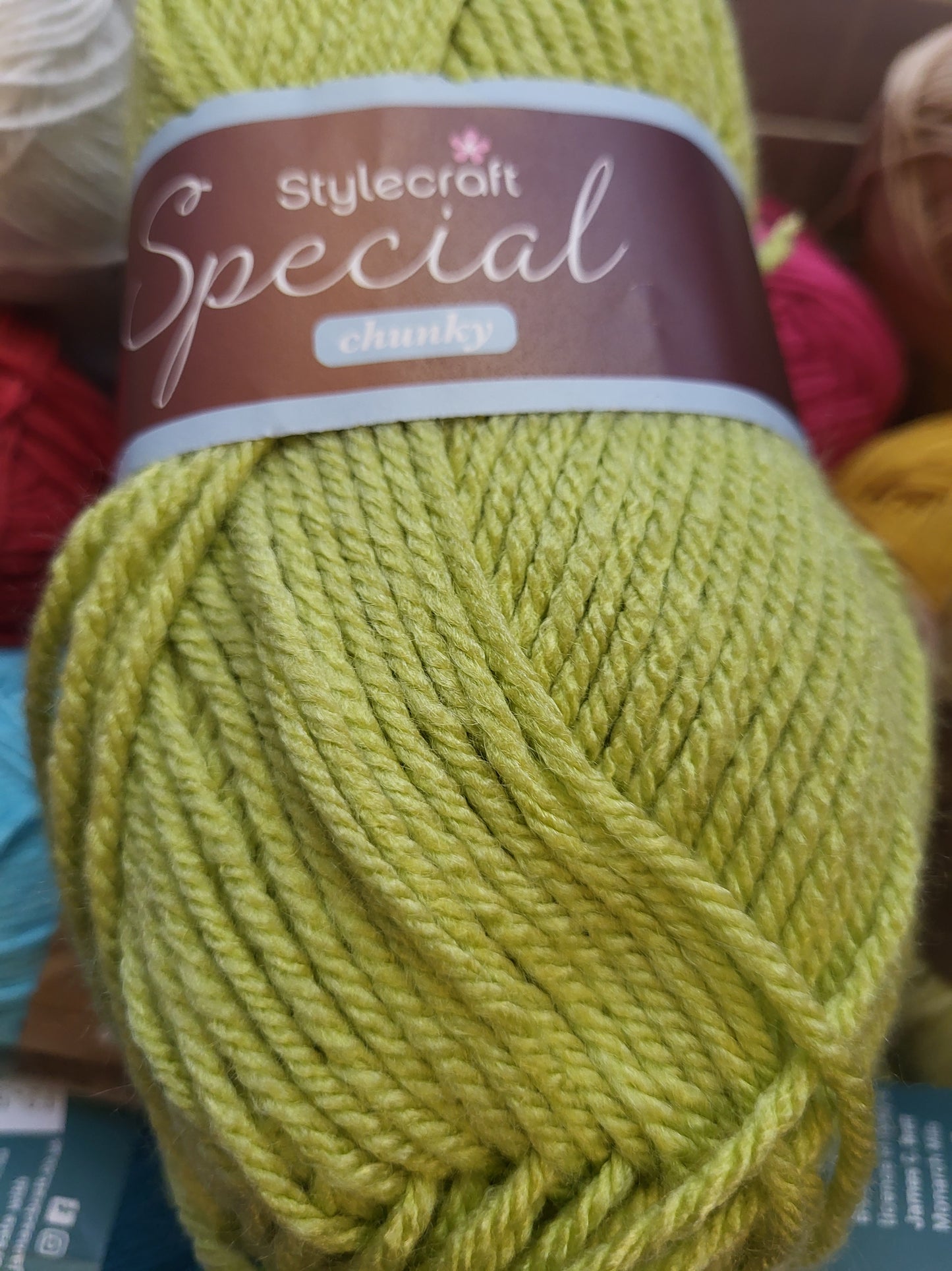 Special Chunky yarn - Pistachio 1822 - 100g