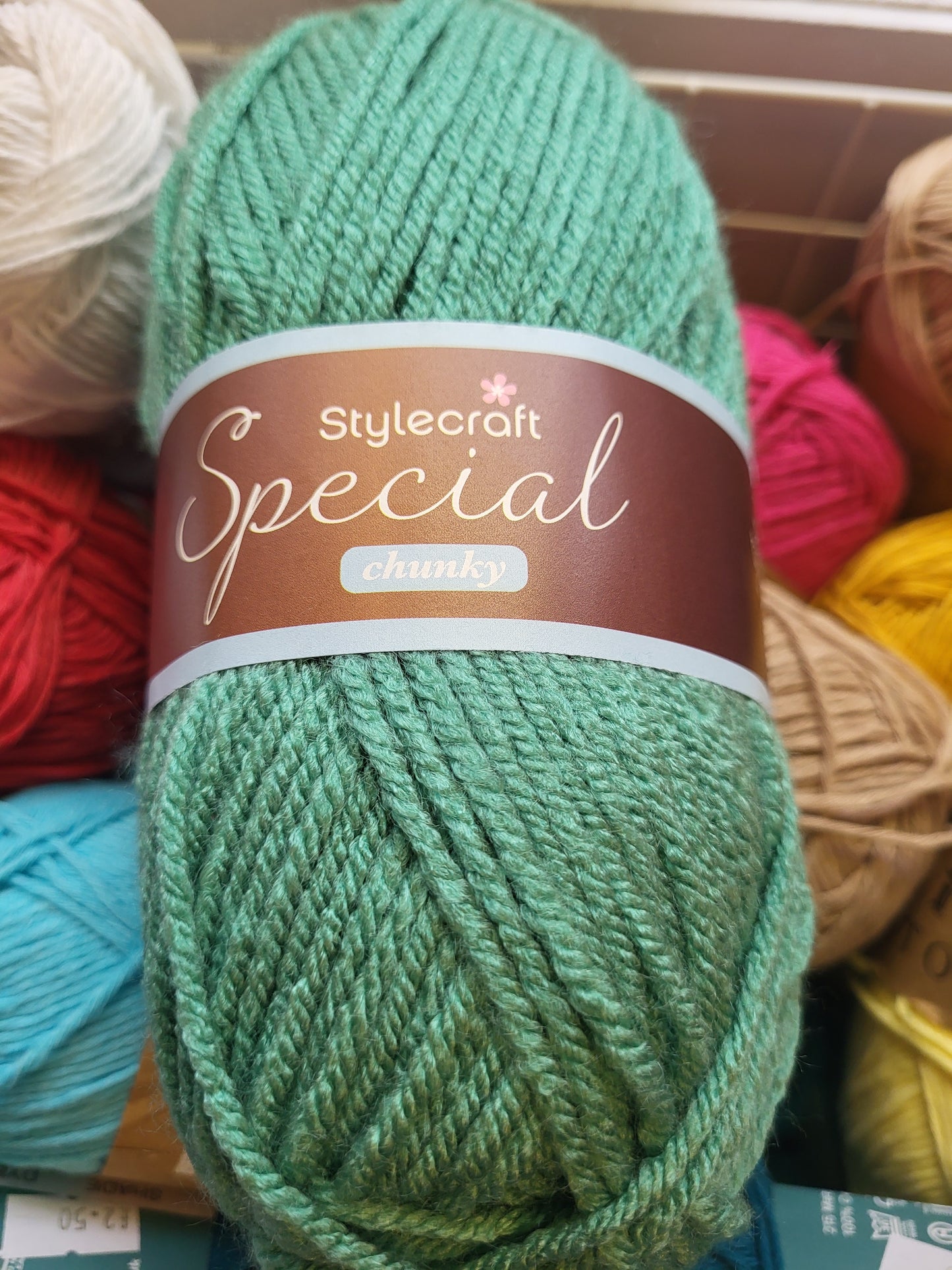 Special Chunky yarn - Sage 1725 - 100g